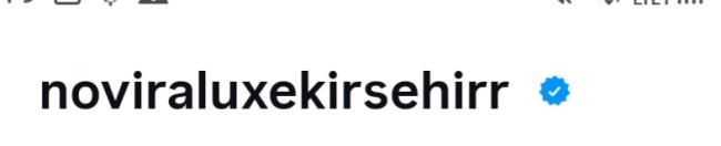 Istediğiniz profil resmi isim ve kullanıcı adı ile mavi tik alıyoruz
