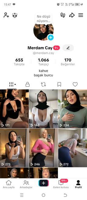 1066 takipçili tiktok hesabı